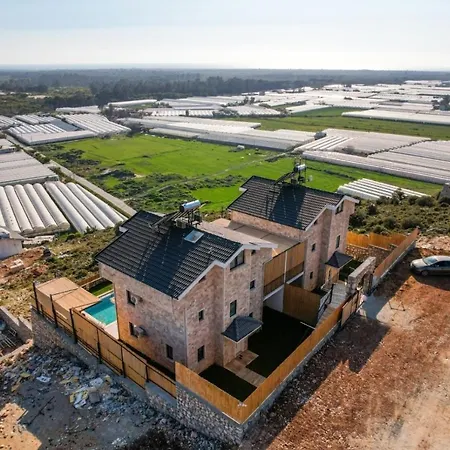 Legendary 1 * Kumluova